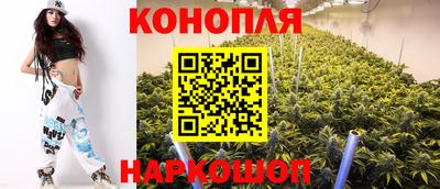 дживик Славгород