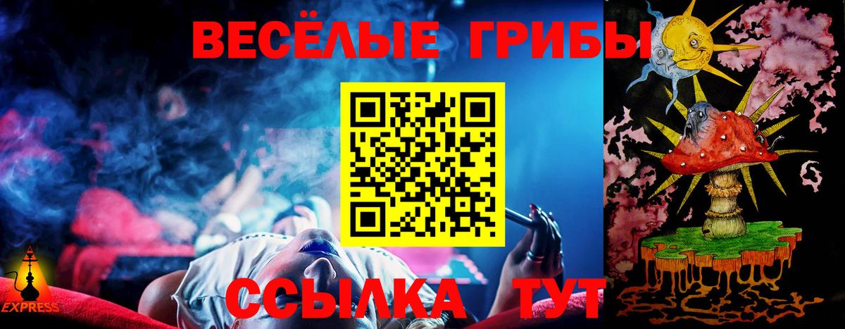 Боровичи  Галлюциногенные грибы прущие грибы  Вход с VPN 